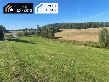 Działka 3,33 ha z potencjałem inwestycyjnym zapraszam działka Kistowo