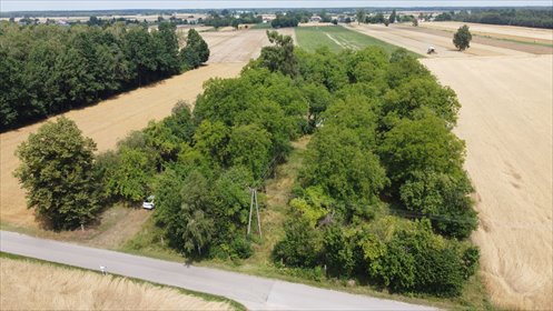 Działka 11 381 m² z domem, starodrzewem - polecam działka Zamość Nowy