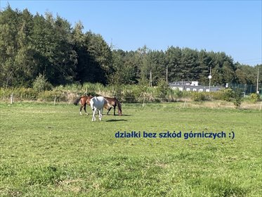 działka na sprzedaż Rybnik Grabownia 693 m2