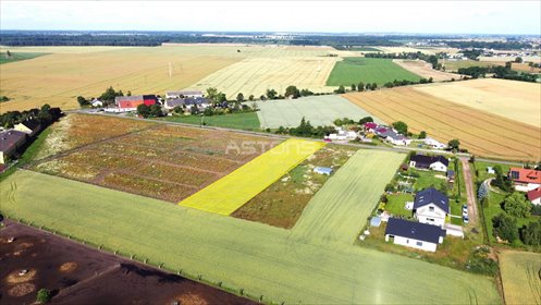 działka na sprzedaż 3006m2 działka Tarnowo Podgórne, Brzezno