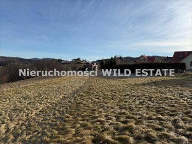 działka na sprzedaż 3402m2 działka Berezka