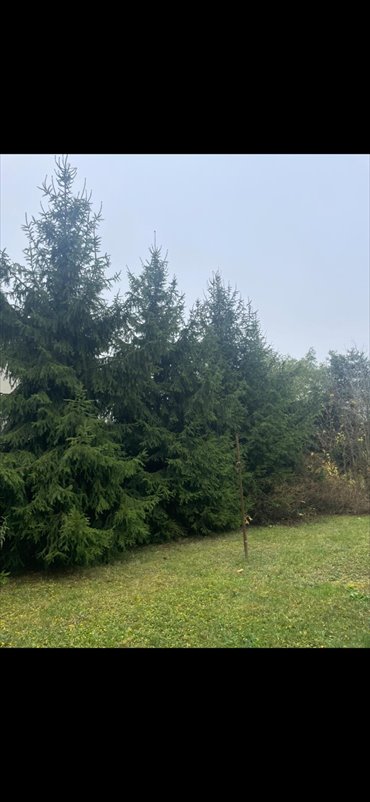 działka na sprzedaż 761m2 działka Piastów, Kraszewskiego