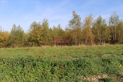 działka na sprzedaż 15300m2 działka Biskupice