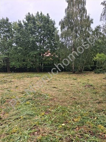 Działka budowlana 1400 m² z mediami w Milanówku. działka Milanówek