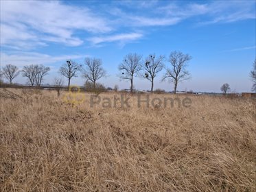 działka na sprzedaż 831m2 działka Bełchatów