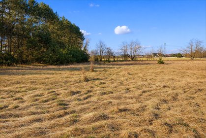 działka na sprzedaż 1584m2 działka Sierosław, Bukowska