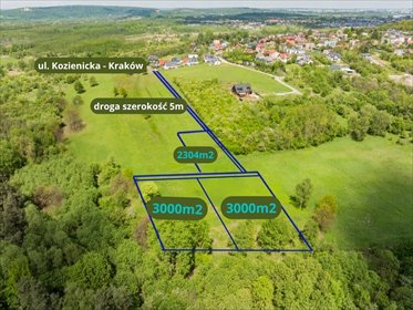 Działki rolne w Dębnikach (2300 i 3000 m²) z udziałami działka Kraków, Dębniki, Kozienicka