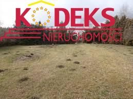 Na sprzedaż działka 4600 m² z domem i lasem w Michałowie-Reginowie działka Michałów-Reginów