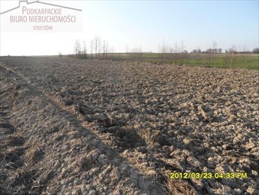 Działka budowlana na sprzedaż Wysoka Strzyżowska 1 900m2 Foto 3