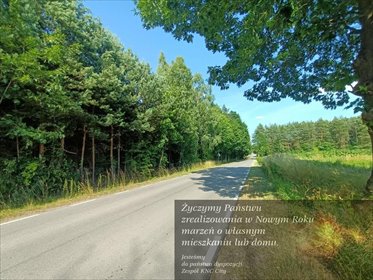 działka na sprzedaż 4400m2 działka Szlachecki Las