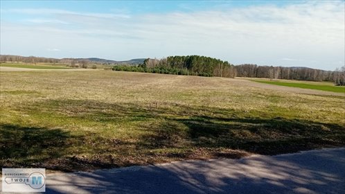 działka na sprzedaż 56571m2 działka Strawczyn, Korczyn