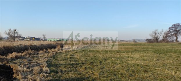 działka na sprzedaż 7855m2 działka Cholewy