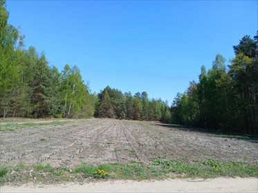 Działka budowlana na sprzedaż Myszyniec, Myszyniec 5 200m2 Foto 2