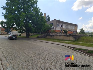 Lokal użytkowy na sprzedaż Łęknica 2 766m2 Foto 4