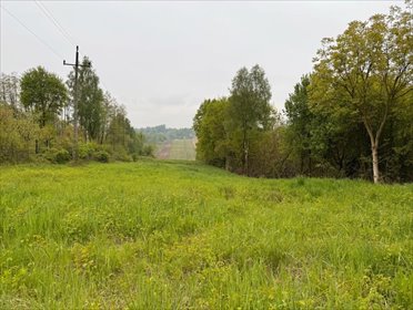 działka na sprzedaż 7900m2 działka Krzęcin