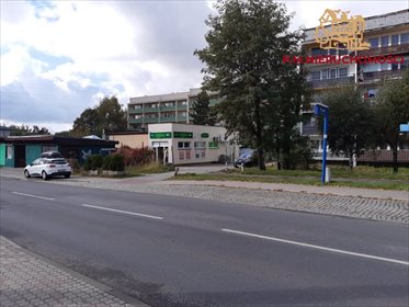 Lokal użytkowy na sprzedaż Rybnik, Niedobczyce 176m2 Foto 3