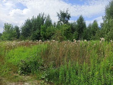 Działka budowlana na sprzedaż Małuszów, Jaśminowa 5 130m2 Foto 2