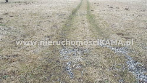Działka inna pod dzierżawę Buczkowice 5 000m2 Foto 1