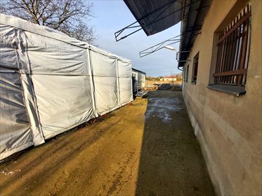Lokal użytkowy na wynajem Strzyżewice, Balonowa 8 180m2 Foto 3