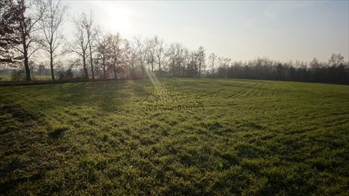 Działka budowlana na sprzedaż Mieściska, Topolowa 4 972m2 Foto 4