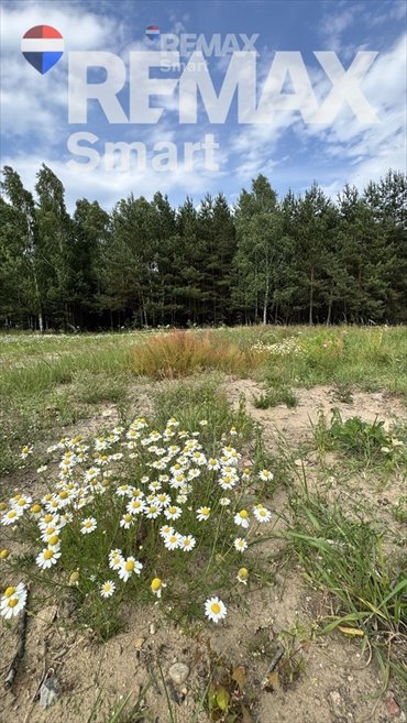 Polecam działkę 1000 m² z planem letniskowym i mieszkaniowym działka Gójszcz
