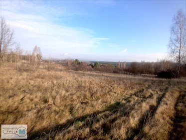 działka na sprzedaż 17841m2 działka Daleszyce, Mójcza, Mójcza