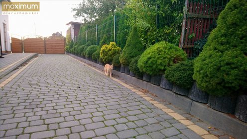 Lokal użytkowy na sprzedaż Żółkiewka-Osada 382m2 Foto 7