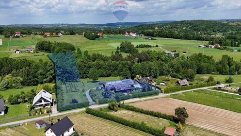 dom na sprzedaż 750m2 dom Borówna