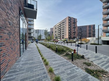 lokal użytkowy na wynajem 106m2 lokal użytkowy Wrocław, Fabryczna, Popowice, Białowieska