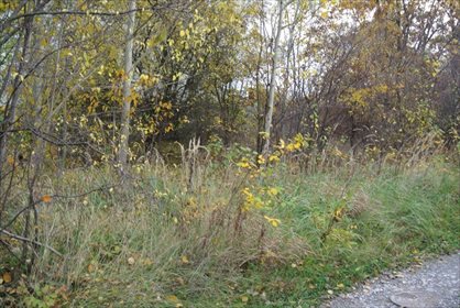 działka na sprzedaż 645m2 działka Kielce, Ostra Górka