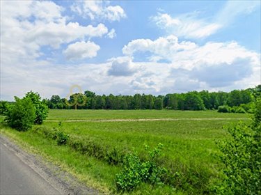 Rozległa działka 5200 m² z potencjałem budowlanym. działka Mieszków