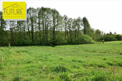 Działka 3195 m² z warunkami zabudowy, blisko jeziora działka Liksajny