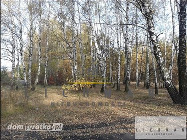 Działka leśna 9 761 m² w Łodzi - z możliwością podłączenia mediów działka Łódź, Bałuty