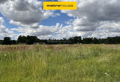 Działki inwestycyjne Kryształowice (1,45 ha, 16 działek) działka Kryształowice