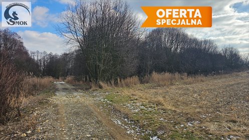 działka na sprzedaż 2150m2 działka Brzezinka