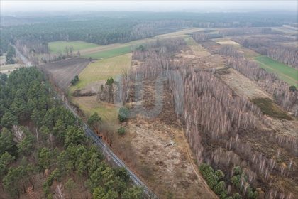 Działka rolna na sprzedaż Ręczaje Polskie 23 700m2 Foto 6