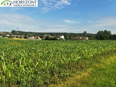 Działka 3000 m² z mediami, w trakcie warunków zabudowy polecam działka Niestępowo