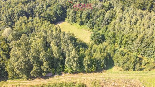Działka leśna na sprzedaż Dylągówka 4 300m2 Foto 3