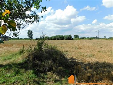 Dom na sprzedaż Młodochów, Młodochów 71m2 Foto 6