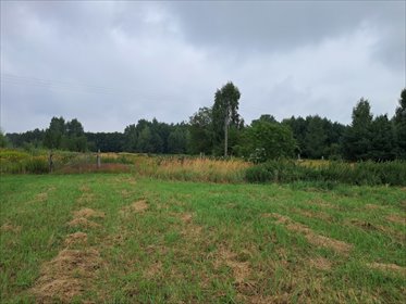 działka na sprzedaż 12400m2 działka Opole Lubelskie, Zagrody