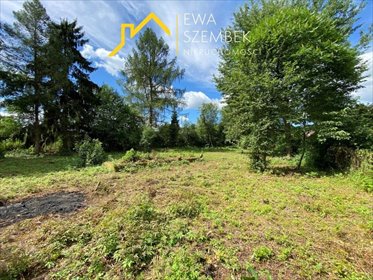 Zapraszam do zakupu działek 1009 i 2195 m² w Winiary działka Winiary
