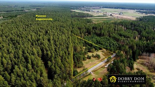 Działka 9 100 m² w Serskim Lesie (las, turystyka) działka Serski Las