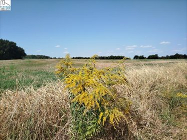 działka na sprzedaż 630m2 działka Zbrosławice