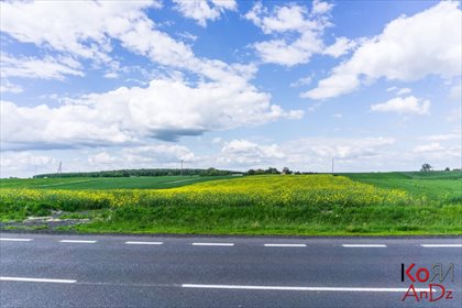 działka na sprzedaż 12200m2 działka Stołpie