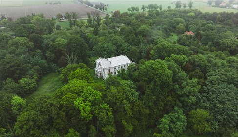 dom na sprzedaż 1000m2 dom Oporów