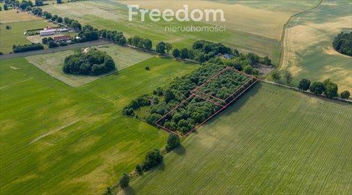 działka na sprzedaż 2250m2 działka Waszulki