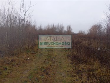 Duża działka 39 335 m² pod inwestycje, blisko A2 działka Kłudno Nowe