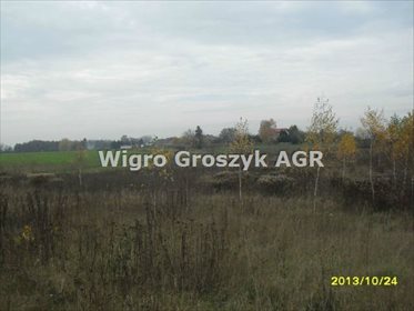 Zapraszam do zakupu działki 2,9 ha z warunkami zabudowy działka Złotopolice
