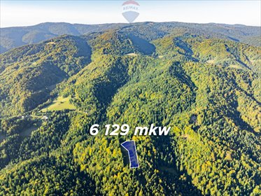 działka na sprzedaż 6129m2 działka Harklowa, Gorczańska