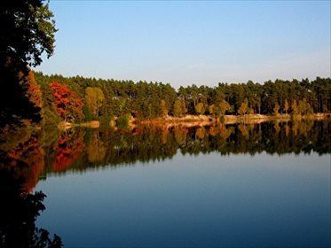 działka na sprzedaż 2130m2 działka Marszałki